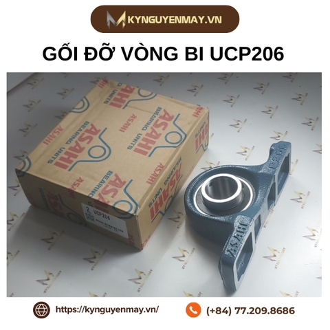 Gối đỡ bạc đạn ASAHI UCP206 (P206)