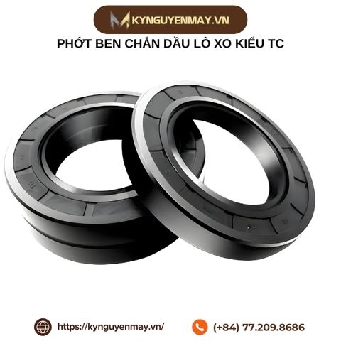 Phớt ben chắn dầu lò xo kiểu TC