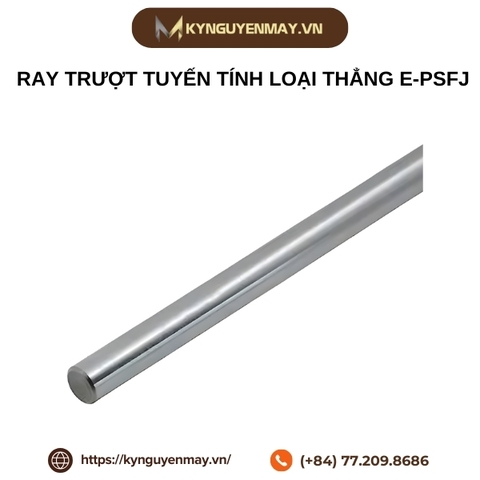 Ray trượt tuyến tính loại thẳng E-PSFJ