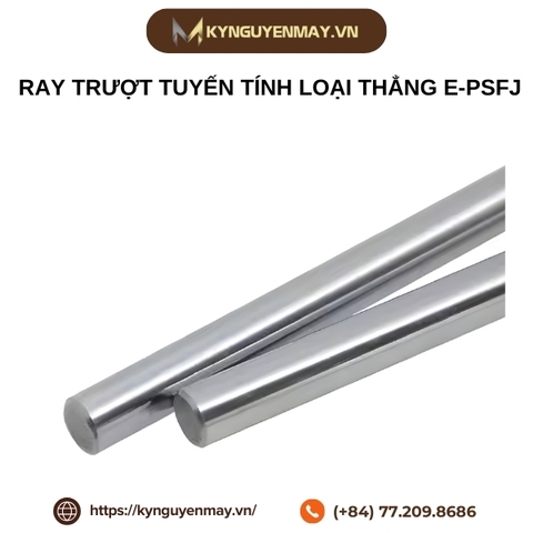 Ray trượt tuyến tính loại thẳng E-PSFJ