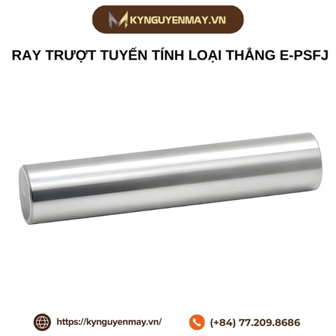 Ray trượt tuyến tính loại thẳng E-PSFJ