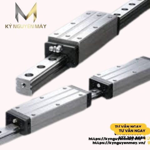 Ray Trượt NSK LU