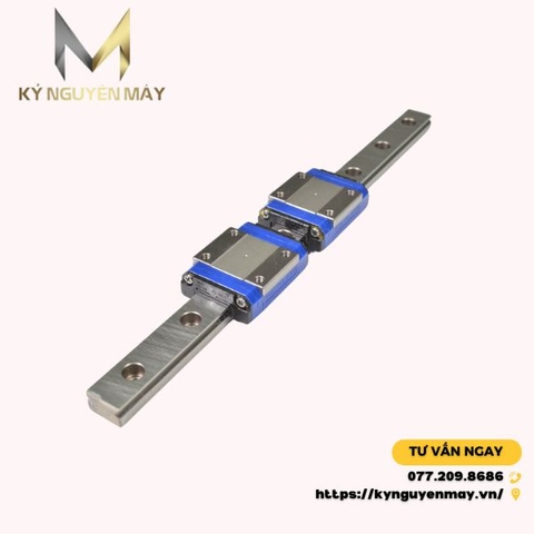 Ray Trượt NSK LW