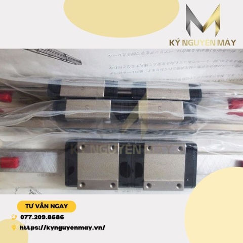 Ray Trượt NSK DS