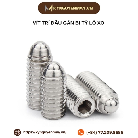 Vít trí đầu gắn bi tỳ lò xo