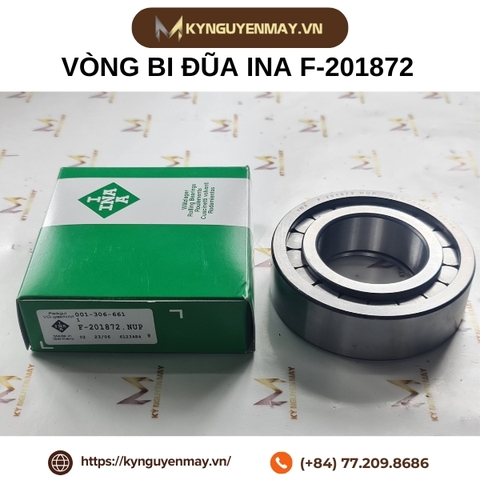 Vòng bi đũa INA F-201872