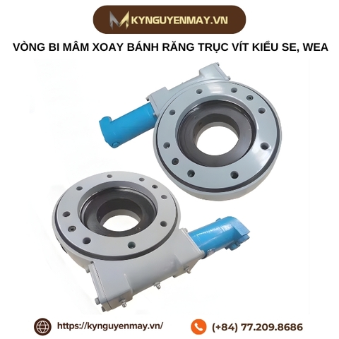 Vòng bi mâm xoay bánh răng trục vít kiểu SE, WEA
