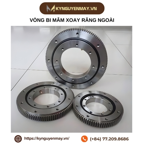 Vòng bi mâm xoay răng ngoài