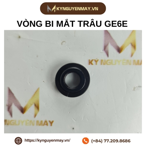 Vòng bi mắt trâu GE6E