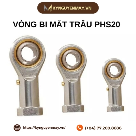 Vòng bi mắt trâu PHS20