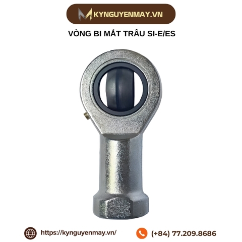 Vòng bi mắt trâu SI-E/ES