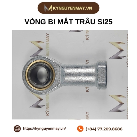 Vòng bi mắt trâu SIL25