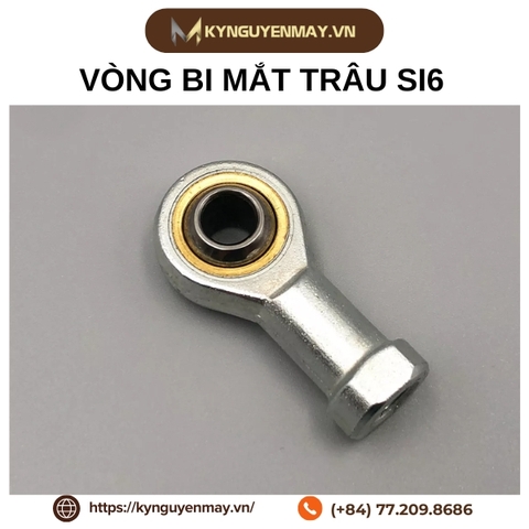Vòng bi mắt trâu SI6