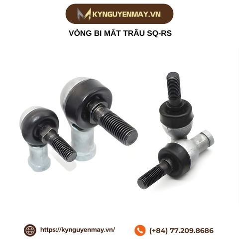 Vòng bi mắt trâu SQ-RS