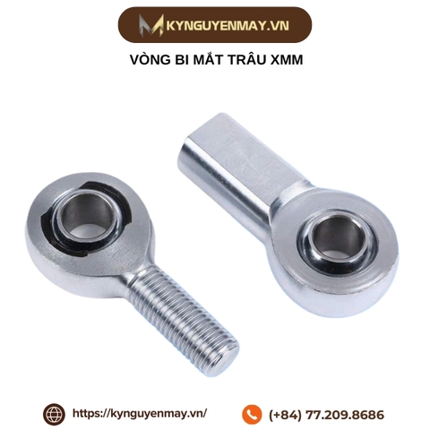 Vòng bi mắt trâu XMM