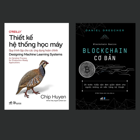 Combo Sách Công Nghệ: Thiết Kế Hệ Thống Học Máy và Blockchain Cơ Bản