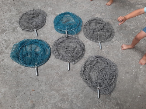 vợt bắt cá
