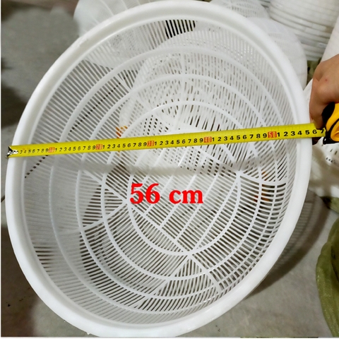 RỔ LỌC CÁ GIỐNG, LƯƠN GIỐNG