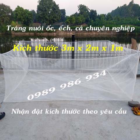 Tráng nuôi ốc nhồi- tráng nuôi ốc bươu đen 3x2x1