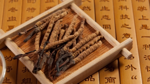 DÙNG ĐÔNG TRÙNG HẠ THẢO HÀNG NGÀY CÓ TỐT KHÔNG?