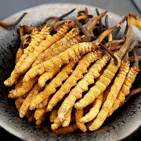 LẤY LẠI NGAY PHONG ĐỘ VÀ BẢN LĨNH ĐÀN ÔNG VỚI ĐÔNG TRÙNG HẠ THẢO