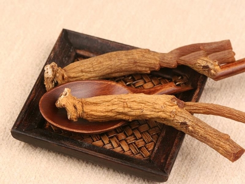 NHỮNG LỨA TUỔI NÀO NÊN SỬ DỤNG HỒNG SÂM ?