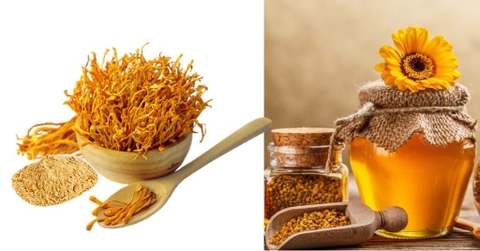 CÔNG DỤNG CỦA ĐÔNG TRÙNG HẠ THẢO NGÂM MẬT ONG