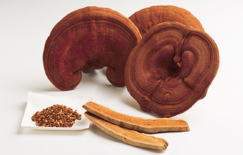 TUYỆT CHIÊU CÔNG THỨC CHẾ BIẾN MÓN ĂN BỔ DƯỠNG TỪ NẤM LINH CHI