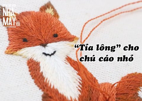 Hướng dẫn 