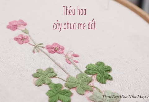 Học thêu cơ bản: Thêu hoa cây chua me đất (có mẫu in)