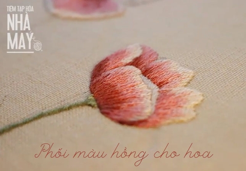 Phối màu hồng cho hoa