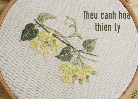 Thêu cành hoa thiên lý với mũi đâm xô đơn giản (có mẫu in)