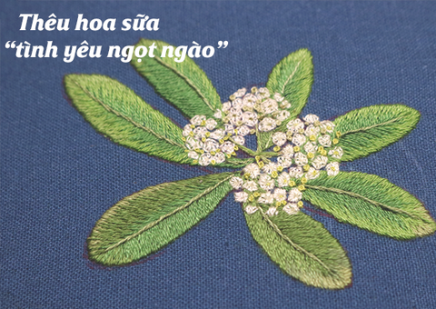 Hướng dẫn thêu hoa sữa - biểu tượng của tình yêu ngọt ngào (có mẫu in)