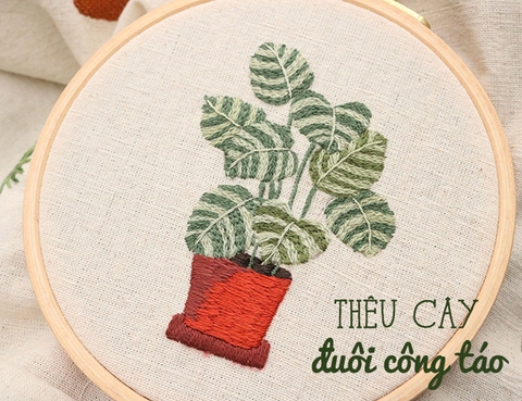 Hướng dẫn thêu cây đuôi công táo bằng mũi thêu cơ bản (có mẫu in)