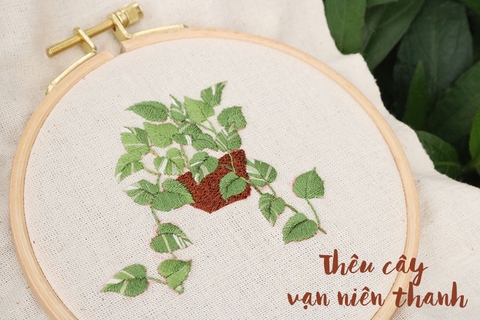 Thêu cây vạn niên thanh đơn giản cho người mới bắt đầu (có mẫu in)