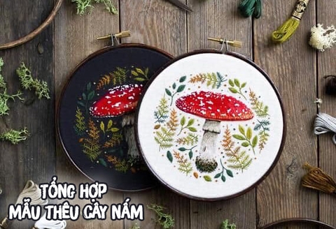 Tổng hợp mẫu thêu cây nấm
