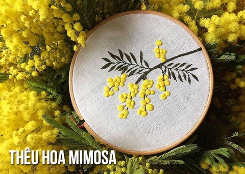 Tổng hợp mẫu thêu hoa mimosa và ứng dụng