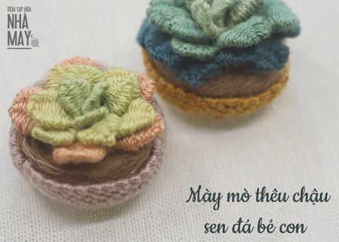 Mày mò thêu chậu sen đá bé con