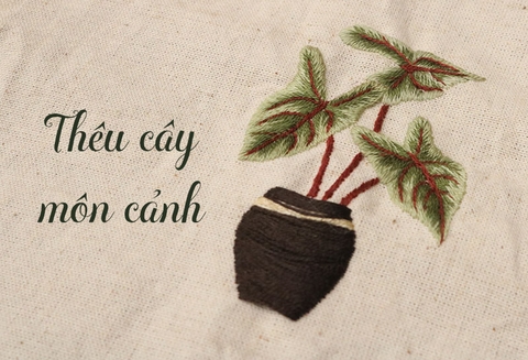 Hướng dẫn thêu cây môn cảnh (có mẫu in)