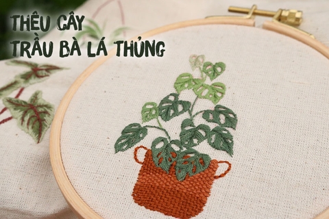 Hướng dẫn thêu cây trầu bà lá thủng đơn giản (có mẫu in)