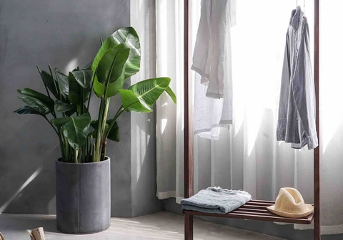 Nhà đẹp không thể thiếu những món decor này