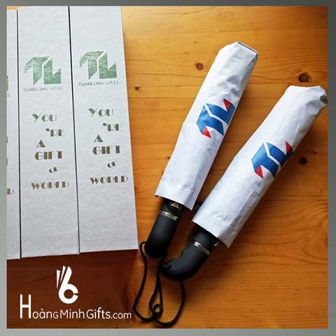 Ô Gấp 3 Tự Động 1 Chiều -KH Tuấn Long Steel