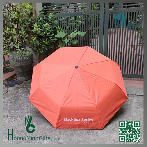 Ô GẤP 3 TỰ ĐỘNG 2 CHIỀU - KHÁCH HÀNG WEEDS