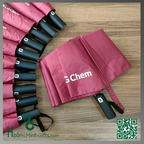 Ô GẤP 3 TỰ ĐỘNG 2 CHIỀU CAO CẤP 10 NAN KÈO - KHÁCH HÀNG LG CHEM