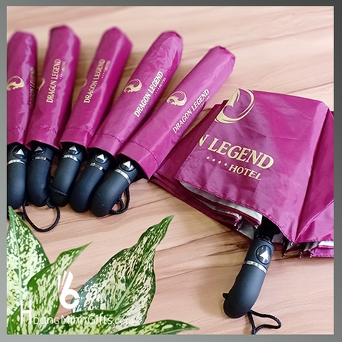 Ô GẤP 3 TỰ ĐỘNG 1 CHIỀU CAO CẤP - KH DRAGON LEGEND HOTEL