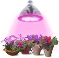 NHỮNG ỨNG DỤNG CỦA ĐÈN LED TRONG CUỘC SỐNG HIỆN NAY