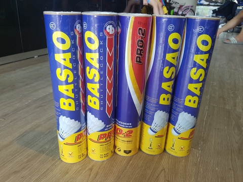Quả cầu lông Basao Pro 2 Tiêu Chuẩn Thi Đấu ( Cầu chơi ngoài trời)