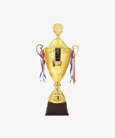 Cúp Trao Giải Kaiwin - Cúp Trao Giải 161 - Màu Vàng | PVN2083