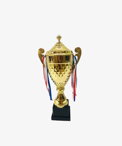 Cúp Trao Giải Kaiwin - Cúp Trao Giải 3013 - Màu Vàng | PVN2607