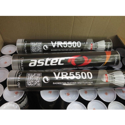 Quả cầu lông Astec VR5500